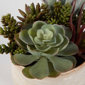 Mesa Succulent Accent - Silver