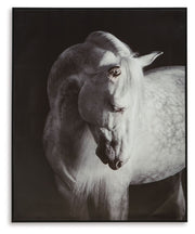 Archerwick - Wall Art - Black / White - R&R Furniture Gallery (Fountain Valley, CA)