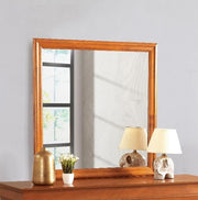 Elegant traditional wall mirror by Glory Furniture with a classic frame, suitable for any living space or hallway.
