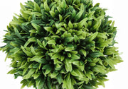 5" Tall, Artificial Plant, Grass, Indoor, Faux, Fake, Table, Greenery, Potted, Decorative (Set of 3) - Green / Gray - R&R Furniture Gallery (Fountain Valley, CA)