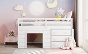 DreamHaus loft bed with integrated cabinet and shelf, showcasing a modern wooden design with ample storage and workspace.