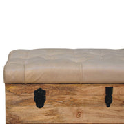 Buffalo - Storage Trunk - R&R Furniture Gallery (Fountain Valley, CA)