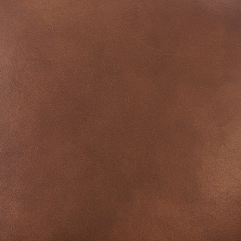 Alvaro - Leather Dining Chair (Set of 2) - Golden Wheat