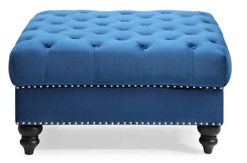 Soft charming traditional upholstered Ottoman by Glory Furniture with plush fabric and classic design.