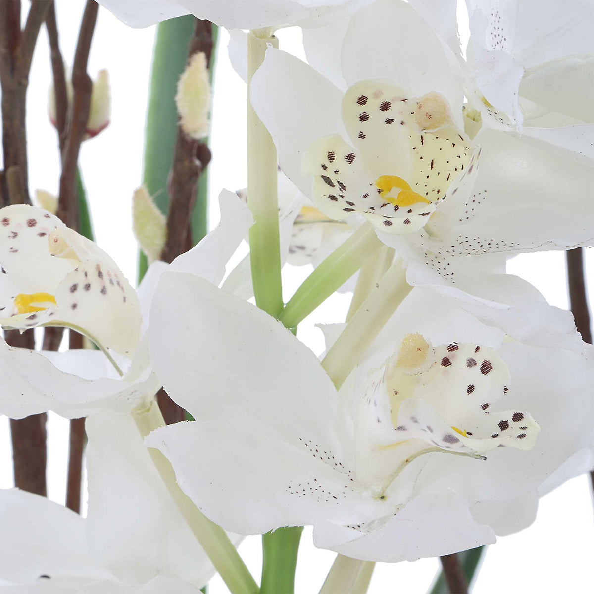 Eterna Orchid - Centerpiece & Vase - Black / Green / White