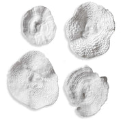 Uttermost Sea Coral wall art set of 4 in white, natural coral-inspired ceramic wall decor with textured, organic designs.