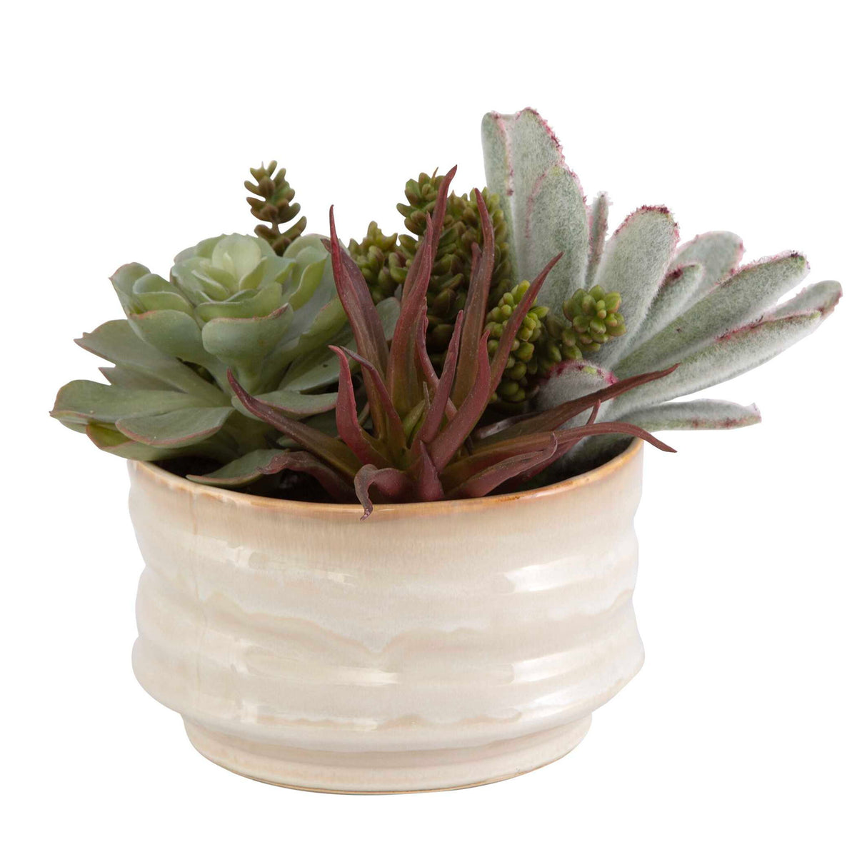 Mesa Succulent Accent - Silver