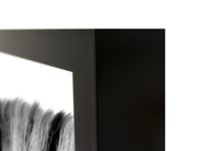 Zebras - 48" x 72" Photography - Black / White - R&R Furniture Gallery (Fountain Valley, CA)
