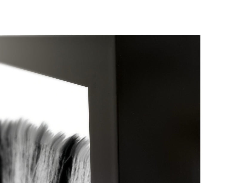 Zebras - 48" x 72" Photography - Black / White - R&R Furniture Gallery (Fountain Valley, CA)