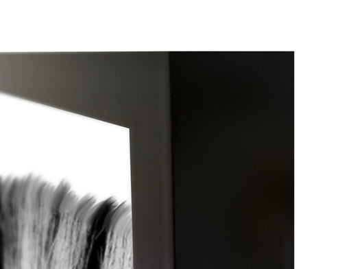 Zebras - 48" x 72" Photography - Black / White - R&R Furniture Gallery (Fountain Valley, CA)
