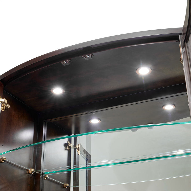 Camellia Field - Display Cabinet - Dark Brown - R&R Furniture Gallery (Fountain Valley, CA)