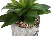 6" Tall, Artificial Plant, Succulent, Indoor, Faux, Fake, Table, Greenery, Potted, Decorative (Set of 2) - Green / Gray - R&R Furniture Gallery (Fountain Valley, CA)