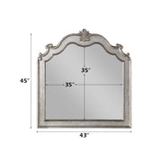 Esteban - Mirror - Antique Champagne - R&R Furniture Gallery (Fountain Valley, CA)