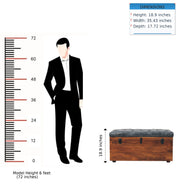 Buffalo - Storage Trunk - R&R Furniture Gallery (Fountain Valley, CA)