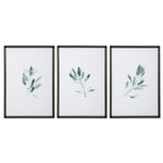Set of three framed watercolor sage prints by Uttermost featuring white backgrounds, perfect for wall decor.