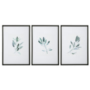 Set of three framed watercolor sage prints by Uttermost featuring white backgrounds, perfect for wall decor.