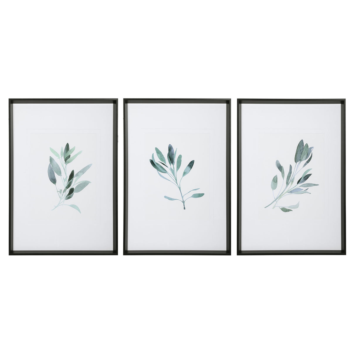 Set of three framed watercolor sage prints by Uttermost featuring white backgrounds, perfect for wall decor.