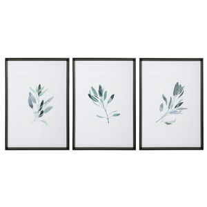 Set of three framed watercolor sage prints by Uttermost featuring white backgrounds, perfect for wall decor.