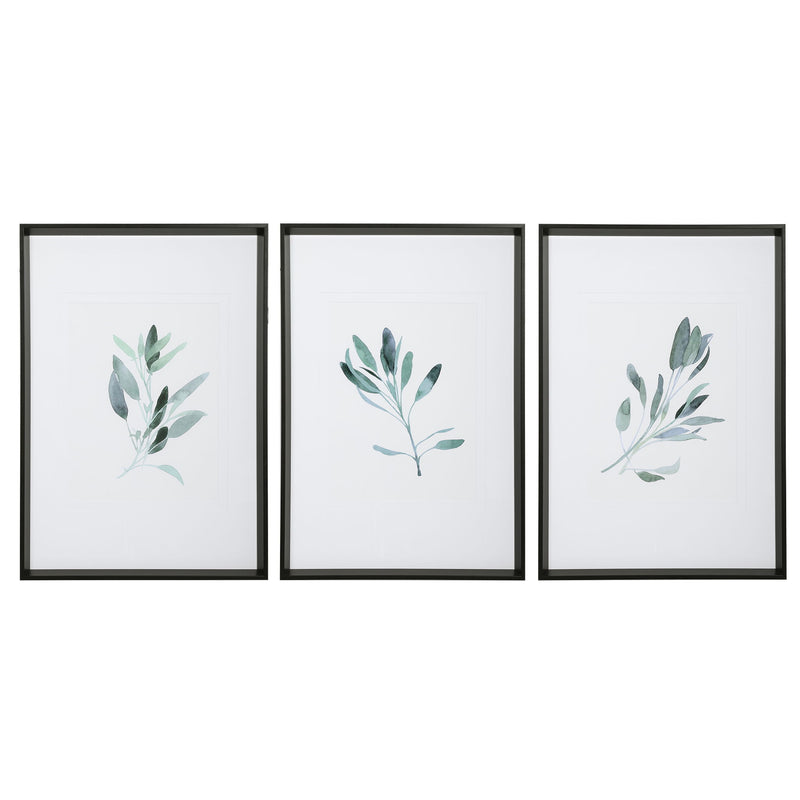 Set of three framed watercolor sage prints by Uttermost featuring white backgrounds, perfect for wall decor.