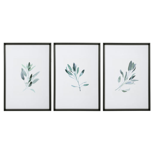 Set of three framed watercolor sage prints by Uttermost featuring white backgrounds, perfect for wall decor.