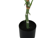 54" Tall, Artificial Plant, Dieffenbachia Tree, Indoor, Faux, Fake, Floor, Greenery, Potted, Real Touch, Decorative - Green / Black - R&R Furniture Gallery (Fountain Valley, CA)