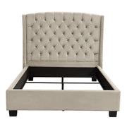 Majestic Queen Tufted Bed in Tan Velvet with Nail Head Wing Accents by Diamond Sofa - R&R Furniture Gallery (Fountain Valley, CA)