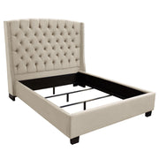 Majestic Queen Tufted Bed in Tan Velvet with Nail Head Wing Accents by Diamond Sofa - R&R Furniture Gallery (Fountain Valley, CA)