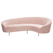 Celine Curved Sofa with Contoured Back in Blush Pink Velvet and Gold Metal Legs by Diamond Sofa - R&R Furniture Gallery (Fountain Valley, CA)