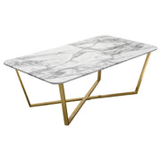 Vida Rectangle Cocktail Table w/ Faux Marble Top and Brushed Gold Metal Frame by Diamond Sofa - R&R Furniture Gallery (Fountain Valley, CA)