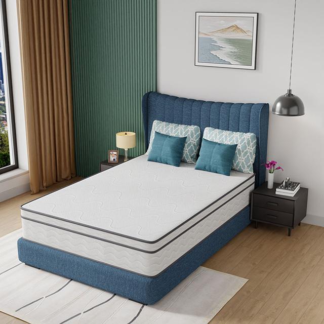 Catmint 12" Full Innerspring Mattress - R&R Furniture Gallery (Fountain Valley, CA)