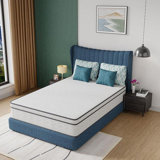 Catmint 12" Full Innerspring Mattress - R&R Furniture Gallery (Fountain Valley, CA)