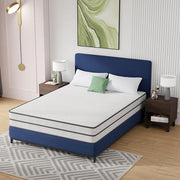 Catmint Mattress - R&R Furniture Gallery (Fountain Valley, CA)