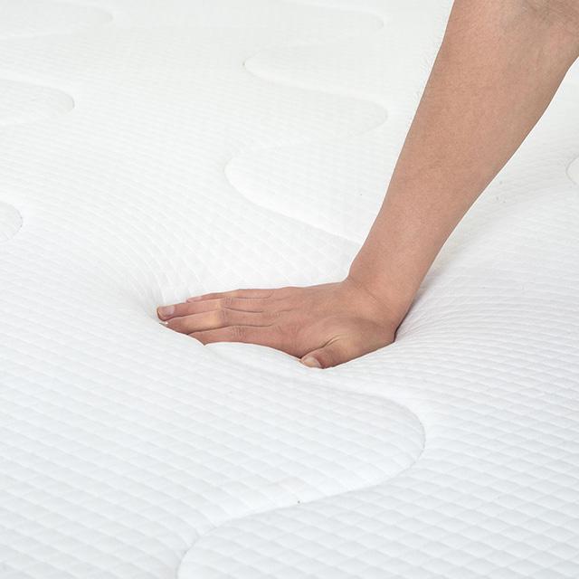 Catmint Mattress - R&R Furniture Gallery (Fountain Valley, CA)