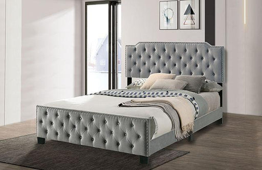 Charlize Bed Grey & Navy - R&R Furniture Gallery (Fountain Valley, CA)