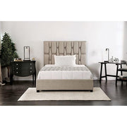 Deirdre Twin Bed - R&R Furniture Gallery (Fountain Valley, CA)