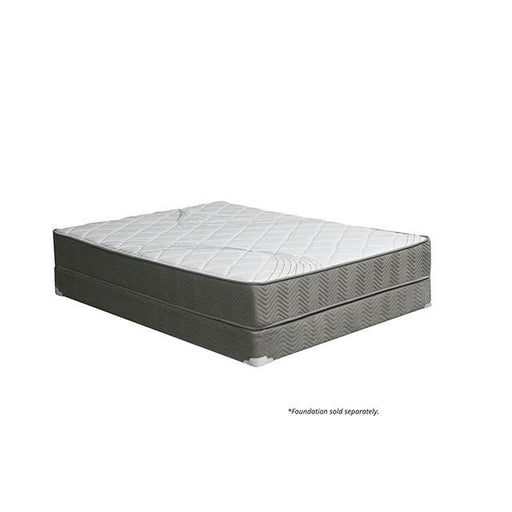 EDREA White/Gray 10" Tight Top Pocket Coil, Cal.King - R&R Furniture Gallery (Fountain Valley, CA)