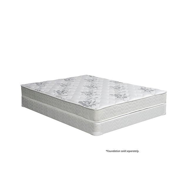 ELBERTYNA White 8" Tight Top Mattress, Queen - R&R Furniture Gallery (Fountain Valley, CA)