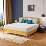 Coreopsis 12" E.King Memory Foam Wave Comfort - R&R Furniture Gallery (Fountain Valley, CA)