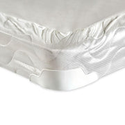Bird Of Paradise 4" Queen-Size Foundation - R&R Furniture Gallery (Fountain Valley, CA)