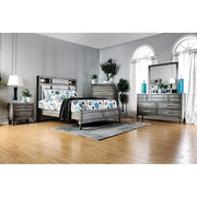 DAPHNE Gray Chest - R&R Furniture Gallery (Fountain Valley, CA)