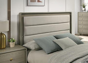 Rainier Bed - R&R Furniture Gallery (Fountain Valley, CA)
