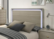 Rainier Bed Gray - R&R Furniture Gallery (Fountain Valley, CA)