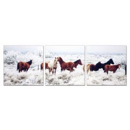 Mustangs 3-Panel Photo On Canvas