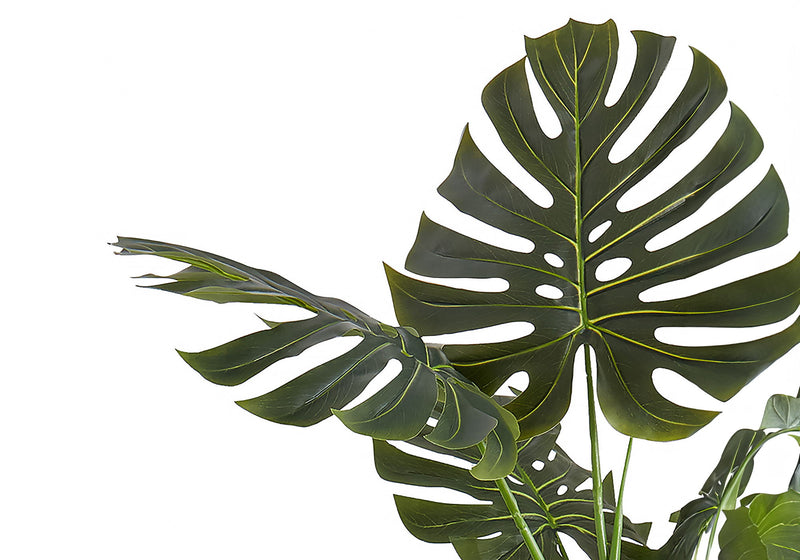 55" Tall, Artificial Plant, Monstera Tree, Indoor, Faux, Fake, Floor, Greenery, Potted, Real Touch, Decorative - Green / Black - R&R Furniture Gallery (Fountain Valley, CA)