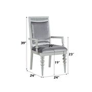 Maverick - Arm Chair (Set of 2) - Fabric & Platinum - R&R Furniture Gallery (Fountain Valley, CA)