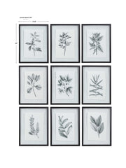 Set of nine farmhouse floral framed prints by Uttermost in black, featuring rustic botanical artwork for wall decor.