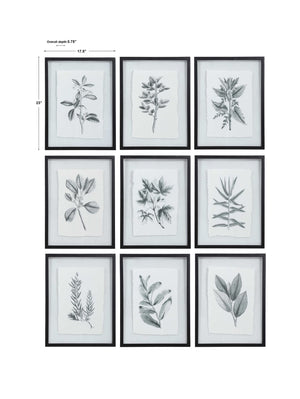 Set of nine farmhouse floral framed prints by Uttermost in black, featuring rustic botanical artwork for wall decor.