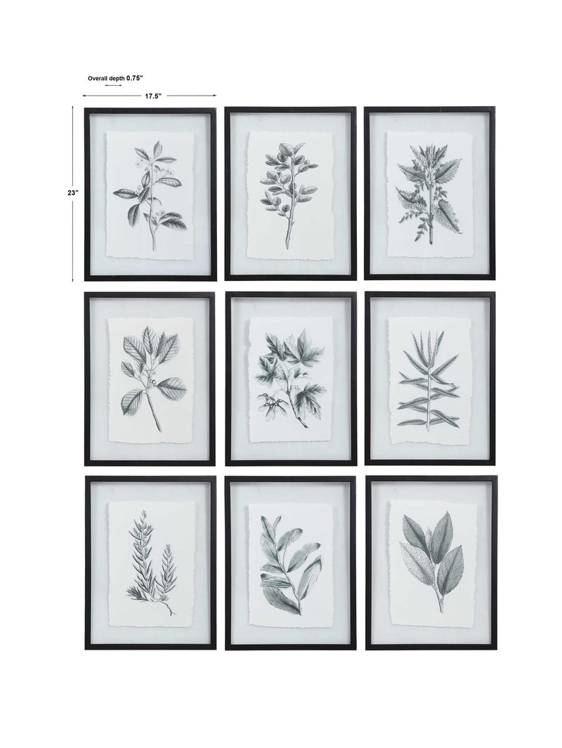 Set of nine farmhouse floral framed prints by Uttermost in black, featuring rustic botanical artwork for wall decor.