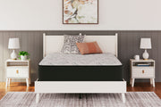Elite Springs Plush - Mattress - R&R Furniture Gallery (Fountain Valley, CA)