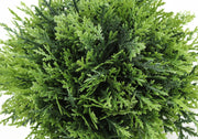 5" Tall, Artificial Plant, Grass, Indoor, Faux, Fake, Table, Greenery, Potted, Decorative (Set of 3) - Green / Gray - R&R Furniture Gallery (Fountain Valley, CA)